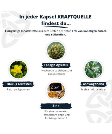Buy Fadogia Agrestis 20 000 mg - High-Dose Power Source with Tribulus Terrestris Ashwagandha & Zinc - Best International Shipping! - Buy Online on GoSupps.com
