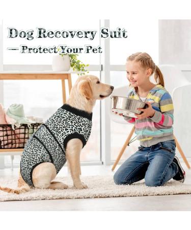 Kuoser Dog Body After Surgery E-Collar Alternative for Male & Female Pets | Breathable & Anti-Licking Design - Buy Online on GoSupps.com