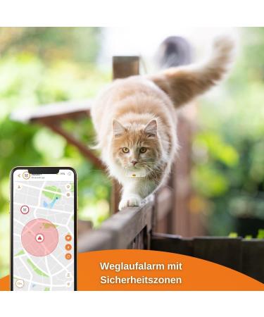 Weeneect XS for Cats - Mini GPS Tracker | Real-Time Tracking | Unlimited Distance | Smallest Model | Collar Included | 2023 Subscription - Buy Online on GoSupps.com