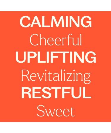 Plant Therapy Green Mandarin Essential Oil 10 mL (1/3 oz) 100% Pure Undiluted Therapeutic Grade 0.33 Fl Oz (Pack of 1) - Buy Online on GoSupps.com