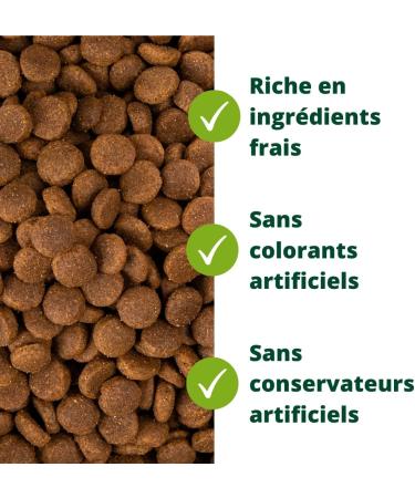 EQUILIBRE & INSTINCT - Adult Dog - Medium/Large Size - Poultry Kibble - Bone Strength - Complete Recipe Formulated with Veterinarians - 12kg - Made in France - Buy Online on GoSupps.com