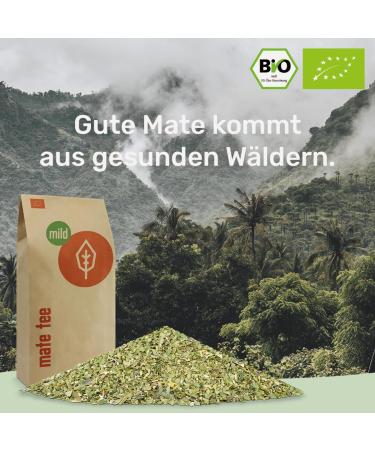 Buy Organic Mate Tea 1kg - Pure Fresh & Green Yerba Mate - Certified & Air-Dried in Germany - International Shipping Available - Buy Online on GoSupps.com
