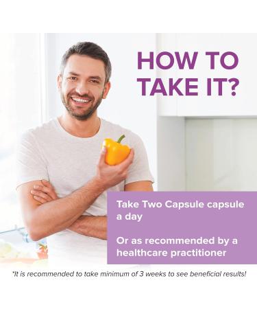 Dr Nutrition 360 Milk Thistle 500 mg Contains 80% Silymarin Herbal Extract Liver Protectant Detox Antioxidants - Lower LDL No Artificial Flavours and Colours 180 Capsules - Buy Online on GoSupps.com