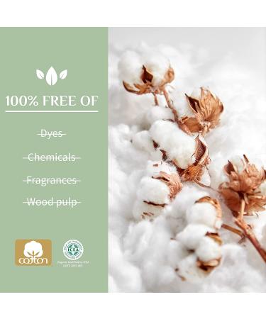 Organyc 100% Certified Organic Cotton Tampons - Regular 16 Count (Pack of 1) | Chlorine & Chemical Free, Cardboard Applicator | Fragrance & Rayon Free - Buy Online on GoSupps.com