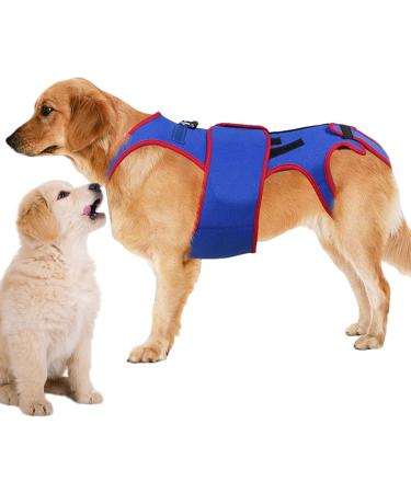 Hip Brace for Dogs - Dogs Back Brace Helps Small Dogs D-Ring and Reflective Strips Dog Back Brace for Dogs Dogs Back Prevention Helps Hurt Relief - Buy Online on GoSupps.com