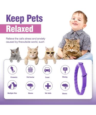 Soothing Cat Collar - Anti-Stress Neck Band for Anxiety Relief and Separation Fear - Buy Online on GoSupps.com