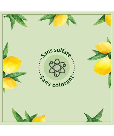 Le Petit Marseillais Energizing Shower Gel Vervain Lemon Organic 250ml - Buy Online on GoSupps.com