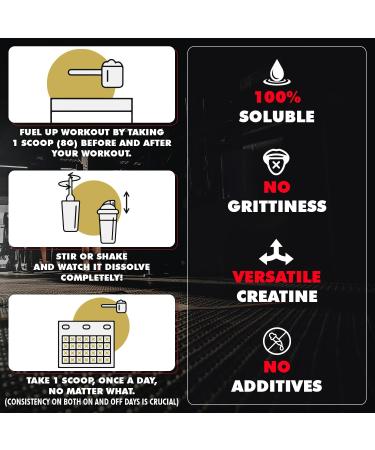 Gains in Bulk Instantized Creatine Monohydrate Powder Pre Workout Supplement for Muscle Endurance & Energy Sour Raspberry 30 Servings 100% Soluble No Bloating - Buy Online on GoSupps.com