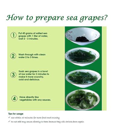 Organic Sea Grapes - Umibudo - Green Caviar - Dehydrated Lato - Crunchy & Healthy - 3.53 Oz (Pack of 5) - Buy Online on GoSupps.com