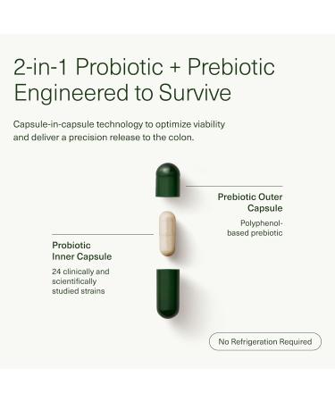 Seed 14 Day Gut Reset - Prebiotic and Probiotic for Women & Men - Digestive Health Gut Health Rapid Gut Recovery Bloating & Constipation Relief - Vegan & Shelf-Stable - 28 Capsules (14-Day Supply) - Buy Online on GoSupps.com