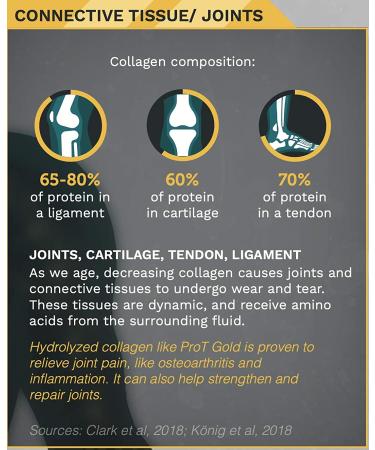 ProT GOLD Collagen Liquid Protein Shots | Sugar-Free Berry | 24 Packets | Anti-Aging | Boosts Immunity | Trusted Formula by 4,000+ Medical Facilities | Complete Protein Nutrition | 2X Faster Healing | 1 Fl Oz (Pack of 24) - Buy Online on GoSupps.com