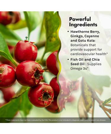 Buy Irwin Naturals CoQ10-Plus 60 Liquid Soft-Gels | Heart & Energy Support - Buy Online on GoSupps.com