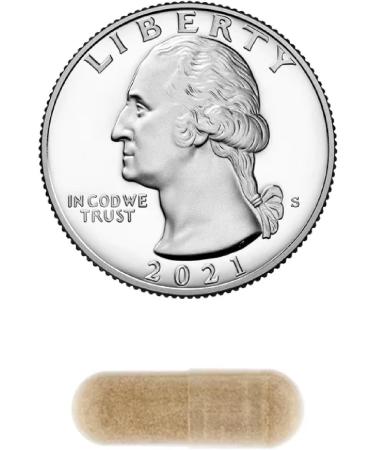 Spring Valley Valerian Root 500 mg Vegetarian Capsules 100 Count Natural Relaxation & Calmness Bundle with Lual's 45 Diabetes Decoded - Buy Online on GoSupps.com