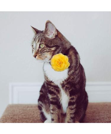 LUTER 4pcs Pet Collar Flowers Multicolored Dog Flower Tie&Bow Floral Collar Charms Accessories Detachable Flower Embellishment for Cats Dogs Pets Supplies (8cm/3.14inch) - Buy Online on GoSupps.com