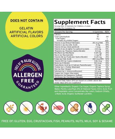 Vitamin Friends Vegetarian Kids Multivitamin Gummies with Choline - 30 Day Supply - Buy Online on GoSupps.com