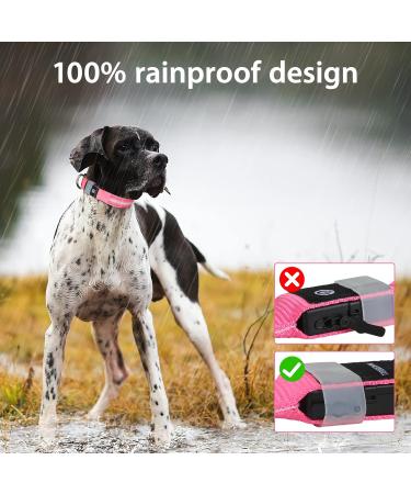 Masbrill LED Dog Collar - Luminous Waterproof Adjustable Safety Band for Small Medium & Large Dogs - Pink (38-50cm) - Buy Online on GoSupps.com