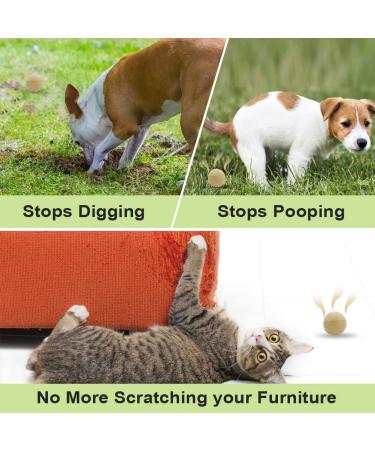SUAVEC Cat Repellent - Outdoor and Indoor Dog and Cat Deterrent - 8 Pack - Buy Online on GoSupps.com