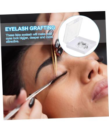 minkissy 1 Box False Eyelashes Loose Hair Diy Cluster Eyelash Faux Eyelashes Girls Fake Eyelash Diy Lash Fake Eyelashes Miss Do It Yourself Chemical Fiber Artificial - Buy Online on GoSupps.com