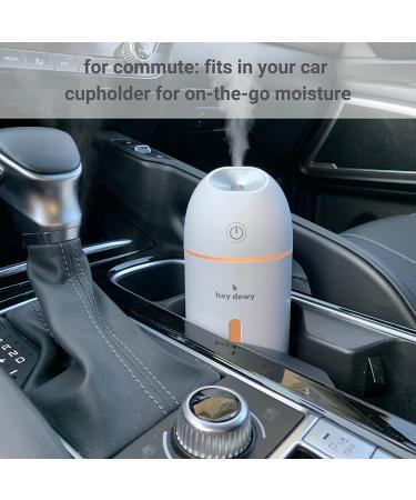 Hey Dewy Wireless Rechargeable Cool Mist Humidifier (Blush) - Self-Care Skin-Nourishing Hydration - Buy Online on GoSupps.com