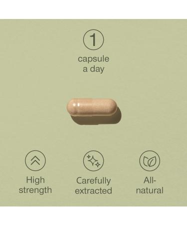 Certified Organic Lions Mane Supplement - 1800mg High Strength Capsules - 30 Capsules - 100% Lion's Mane Mushroom Extract - Made in UK - Buy Online on GoSupps.com