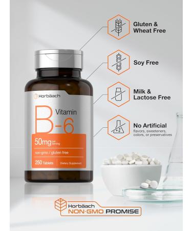 Horb ach B6 Vitamin 50mg | 250 Tablets | Non-GMO & Gluten Free Supplement - Buy Online on GoSupps.com