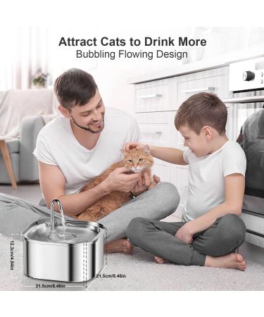 NautyPaws Cat Water Fountain  3.2L/108oz Automatic Stainless Steel Pet Fountain Dog Water Dispenser  Super Quiet  Dishwasher Safe Design & Adjustable Water Flow for Cats  Dogs  Multiple Pets - Buy Online on GoSupps.com