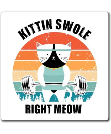 Hilarious Kitten Swole Exercise Exercising Kitten Lover Humorous Sarcasm Derision Ridicule Satire Puss Magnets 4" 4" - Buy Online on GoSupps.com