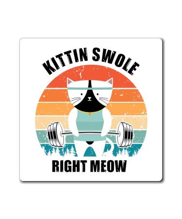 Hilarious Kitten Swole Exercise Exercising Kitten Lover Humorous Sarcasm Derision Ridicule Satire Puss Magnets 4" 4"