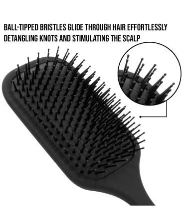 Giorgio Large Square Paddle Brush for Men and Women - Ideal for Wet/Dry, Long/Thick/Curly Hair - Black Cushion Hairbrush with Ball Tip Bristles - Buy Online on GoSupps.com