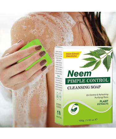 Artisanal Soap Shower Soap 100g | Face Wash Skin Wash Daily Shower Men Women Travel Hotel Home - Buy Online on GoSupps.com