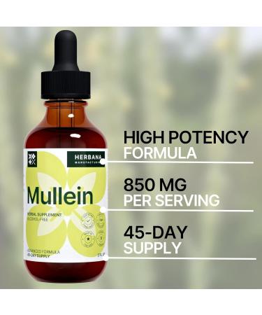 Mullein Leaf Liquid Extract - Lung Cleanse & Immune Support Tincture - 45-Day Supply, 2 fl oz - Buy Online on GoSupps.com