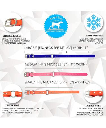 Regal Dog Products Waterproof Dog Collar & Leash Set (1.5m) - Perfect for Small Medium & Large Dogs - Durable Orange Design - Buy Online on GoSupps.com