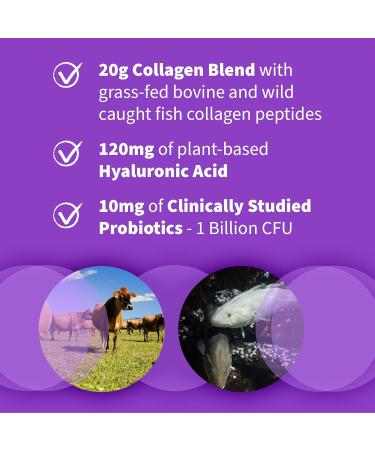 Garden of Life Collagen Beets Bundle: Multi-Sourced Collagen Hyaluronic Acid Unflavored, 12 Servings + Organic Beets Detox Cranberry Pomegranate, 30 Servings + Collagen Peptides Powder, 14 Servings - Buy Online on GoSupps.com