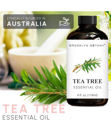 Brooklyn Botany Tea Tree & Cinnamon Essential Oils 4 Fl Oz (Pack of 2) 100% Pure & Natural Warming & Purifying Aromatherapy Blend - Buy Online on GoSupps.com
