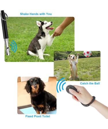 Jaimela Dog Whistle & Clicker Set | Professional Dog Training Accessories | Standardized Frequency Training Tools - Buy Online on GoSupps.com