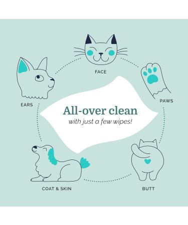 Hepper Pet Wash Wipes | Waterless Pet Cleaning Wipes with Aloe & Cucumber | Safe Grooming Wipes for Dogs Cats & Pets  - Buy Online on GoSupps.com