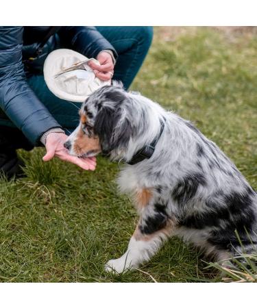 Nobby Flybee 20 cm - Durable Dog Toy for Interactive Play | Fast International Shipping - Buy Online on GoSupps.com