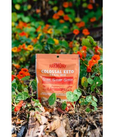 Buy Diamond of California Harmony Colossal Keto Trail Mix - Peanuts Edamame Himalayan Pink Salt Walnuts & Parmesan Cheese Crisps - 10 Oz - International Shipping Available - Buy Online on GoSupps.com