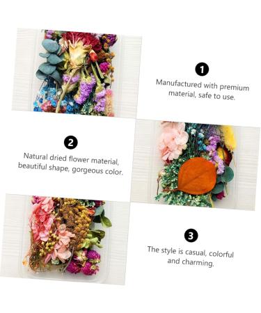 Zerodeko 9 Boxes Handmade Diy Dried Flowers Real Daisy Dried Flower Leaves Dried Flowers Nail Art Dried Flower Decor Maternity Clothes Dried Flowers for Soap Making Bjd Doll Manual Bouquet - Buy Online on GoSupps.com