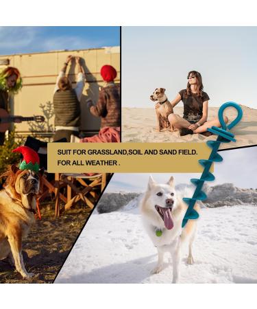 Eurmax Dog Ground Spike - 16 to 500lbs for All Pets | Royal Blue & Navy Blue Options - Buy Online on GoSupps.com