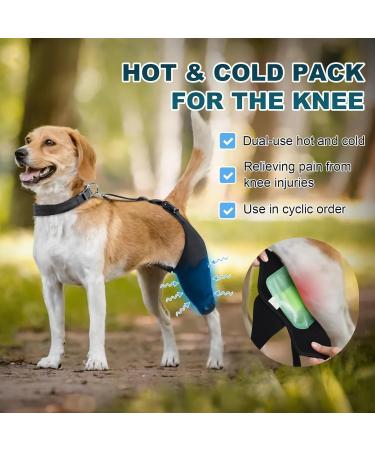 Dog Knee Brace for Torn ACL Hind Leg and Luxating Patella Dog Leg Brace with Metal Hinged Support for Better Support and Recovery Both Leg Hind Leg Luxating Patella Dysplasia Arthritis Joint Pain(X-L X-Large - Buy Online on GoSupps.com