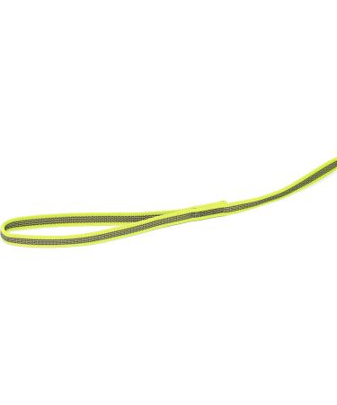 IDC Color & Gray Rubberized Leash - 14mm x 1.2m with Loop | Durable Neon Gray Dog Leash for International Shipping - Buy Online on GoSupps.com