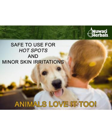Nuwati Herbals Healing Balm 4 oz - Plantain for Skin Irritations, Burns, Bites - Made in USA - Buy Online on GoSupps.com