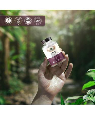 Amazing Botanicals Garlic Extract Tablets - Allium Sativum 200mg 1% Allicin - High Potency Herbal Supplement for Wellness and Vitality - 30 Count - Buy Online on GoSupps.com