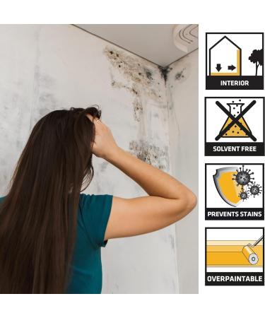 AMK Ever Build Stain Block 400ml Spray Paint Prevents Water Marks Mould Rust Stains - Buy Online on GoSupps.com