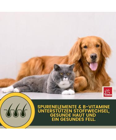 Vitamins for Dogs 100 ML Multivitamins and Minerals B Vitamins with Vitamin A B12 DE Folic Acid Iron Zinc Selenium L-lysine and Calcium Strengthens Vitality The Immune System Skin Coat - Buy Online on GoSupps.com