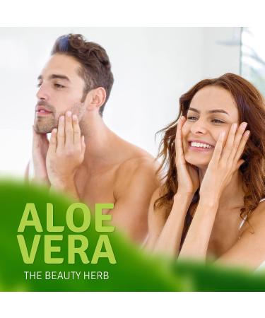 Aloe Life 99% Certified Organic Whole Leaf Aloe Vera Skin Gel - Vitamins C, A & E - Fragrance-Free (8 oz) - Buy Online on GoSupps.com