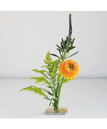 Wazakura Japanese Ikebana Kenzan 3.4 Long Rectangular Brass Flower Holder - Made in Japan - Buy Online on GoSupps.com