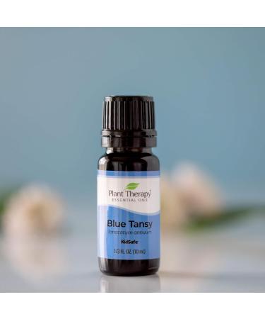 Buy Plant Therapy Blue Tansy Essential Oil 100% Pure - Natural Aromatherapy & Therapeutic Grade (10 mL) | International Shipping Available - Buy Online on GoSupps.com