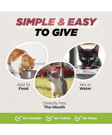 BUDDY'S BEST Ringworm Relief Spot-On Treatment for Dogs & Cats: Natural Fast-Acting Formula with Jojoba & Neem Oil Soothes & Heals Skin Easy Application 50ml - Buy Online on GoSupps.com